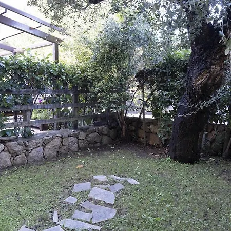 Aria Di - S'abba Lughente *