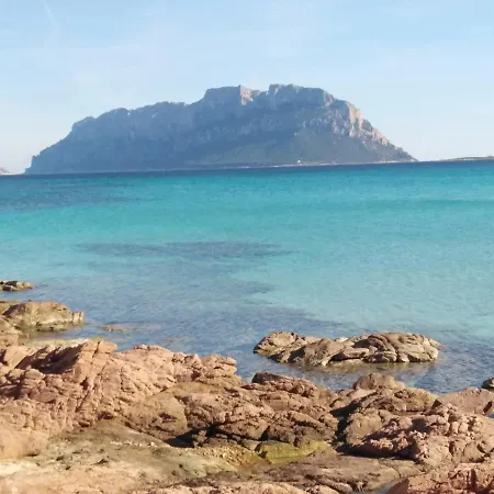 Holiday home Aria Di - S'abba Lughente